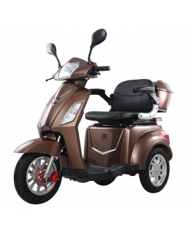 Elektriline kolmerattaline jalgratas MS03/HF-ET09 20Ah