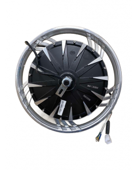 1000 W motors elektriskajam...