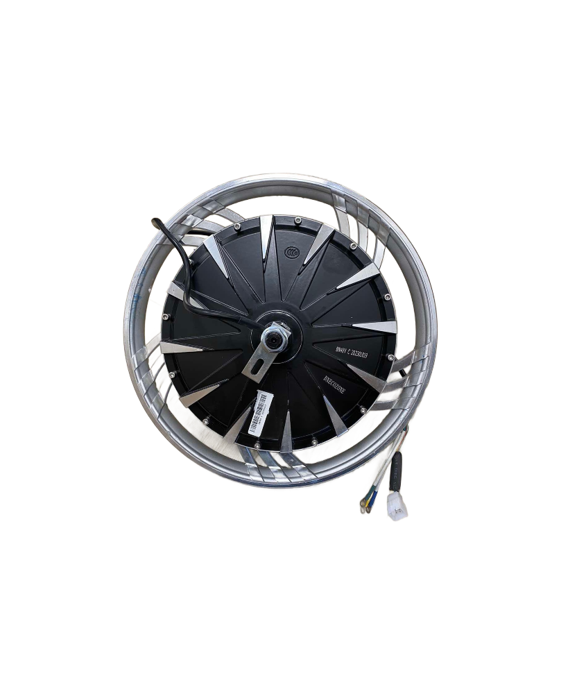 1000 W motors elektriskajam skūterim Sky