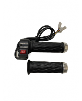 Elektrilise tõukeratta...