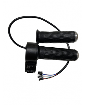 Elektrilise tõukeratta...