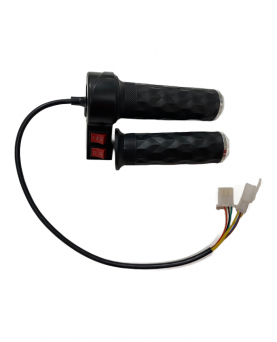 Elektrilise tõukeratta...