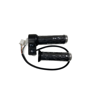 Elektrilise tõukeratta...