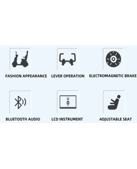 Elektriline nelirattaline Spirit-3, 500 W, AC
