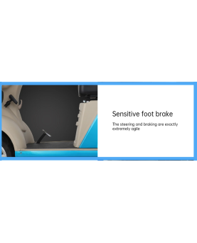 Elektriskais četrriteņu motocikls Europa, 500 W, AC