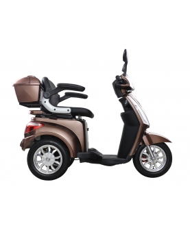 Elektriline kolmerattaline jalgratas MS03/HF-ET09 20Ah