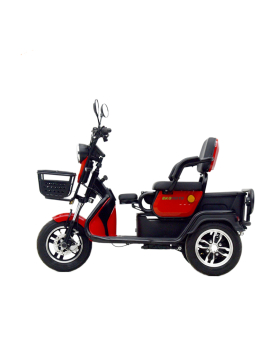 Elektrinis triratis A6, 800W, Li-ion, EEC