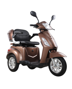 Elektriline Triratis Vista-1, 1000 W, Li-ion, EEC