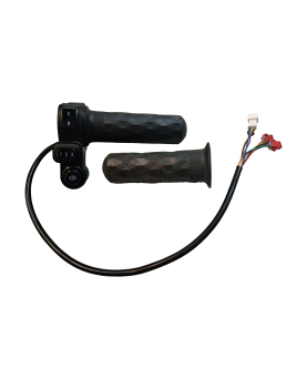 Elektrilise tõukeratta...