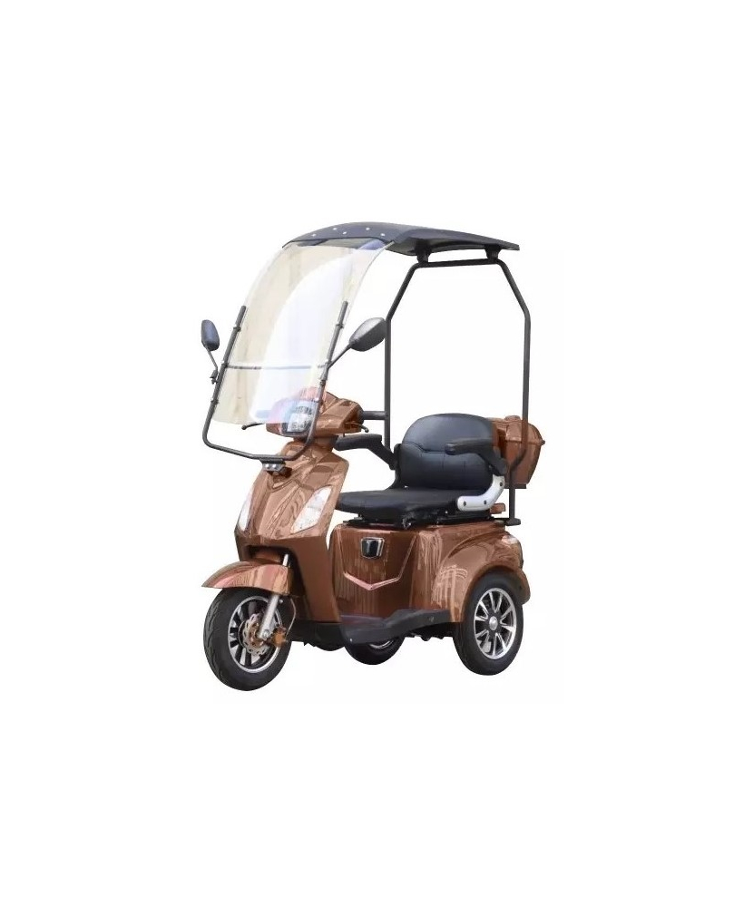 Electric Tricycle Vista-1 with roof, 1000W, AC, EEC