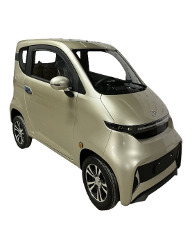 Elektrinis Mini Auto...