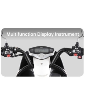 Elektriline neliratas M20K, 1000 W, Li-ion