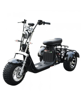 Elektriskais Triratis CP-3, 1000 W, Li-ion