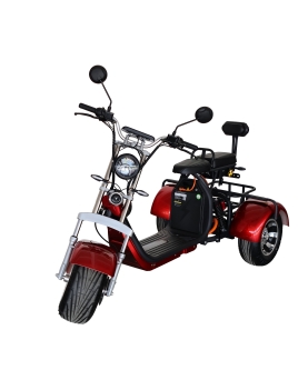 Elektriskais Triratis CP-3, 2000 W, Li-ion, EEC