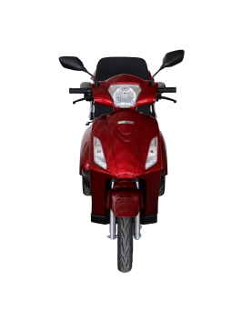 Elektriskais Triratis VISTA-2, 1000 W, AC, EEC