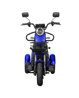 Elektriline kolmerattaline jalgratas Lidia, 800 W, AC