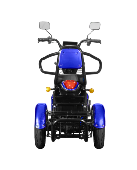 Elektrinis Triratis Lidia, 850W, Li-ion