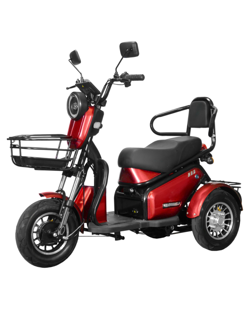 Elektriskais Triratis Lidia, 800 W, Li-ion