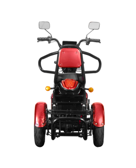 Elektrinis Triratis Lidia, 850W, Li-ion