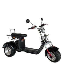 Elektrinis Triratis CP-7 off-road, 4000 W, Li-ion, EEC