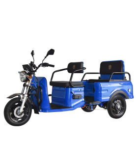Elektrinis krovininis triratis MS-MINI CARGO, AC, EEC