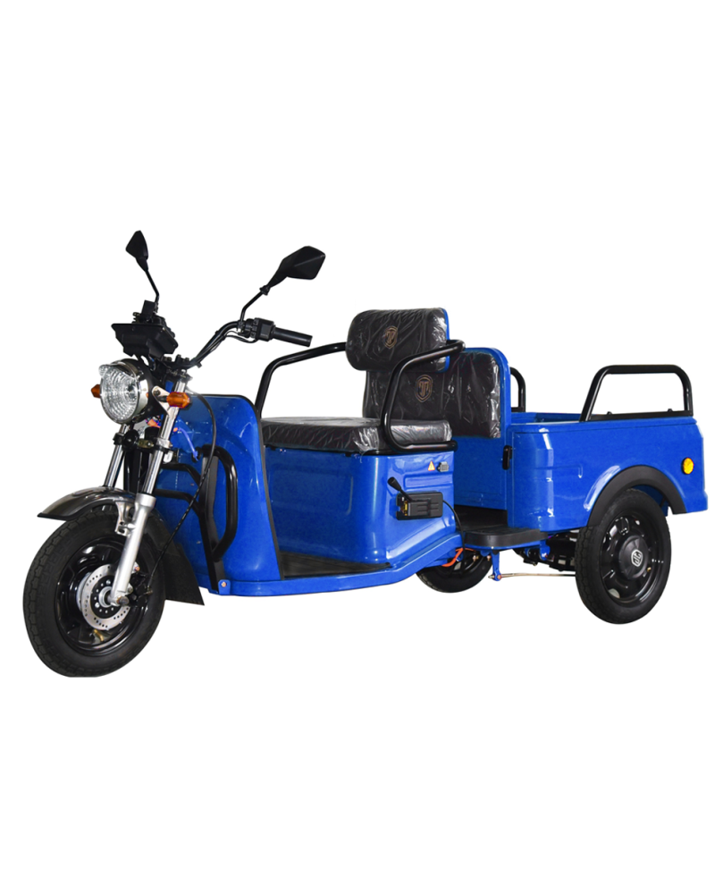 Elektrinis krovininis triratis MS-MINI CARGO, AC, EEC