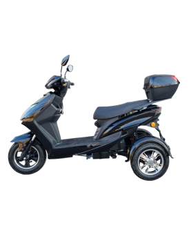 Elektrinis Triratis Ms06 1000W, 20Ah AC