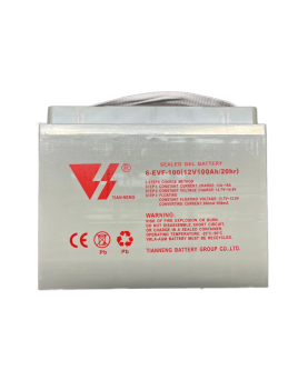 12V 100AH (5 vnt. - 60V) AC...