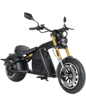 Elektrinis motoroleris M8S,...