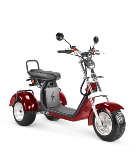 Elektriline Triratis CP-7, 4000 W, Li-ion, EEC