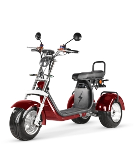 Elektriline Triratis CP-7, 4000 W, Li-ion, EEC