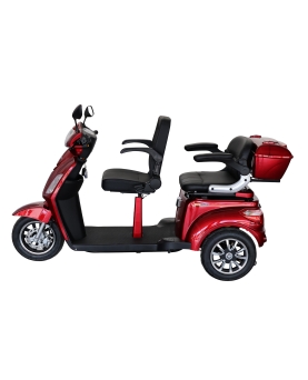 Elektriline Triratis VISTA-2, 1000 W, AC, EEC näituselt