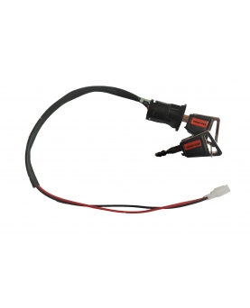 Citycoco mootorratta käiviti võtmega