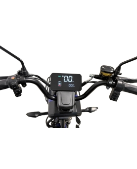 Electric tricycle M20, 800W, AC, EEC