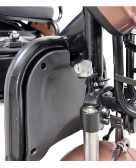 Electric tricycle M20, 800W, AC, EEC