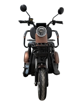 Electric tricycle M20, 800W, AC, EEC