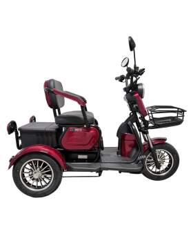 Electric tricycle M20, 800W, AC, EEC