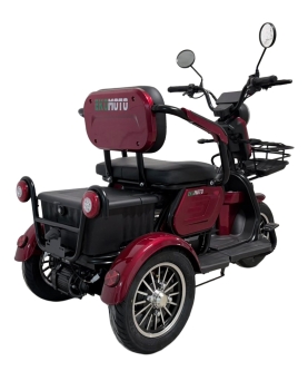 Electric tricycle M20, 800W, AC, EEC