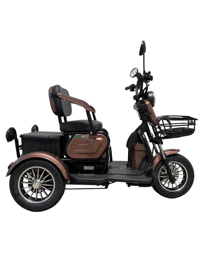 Electric tricycle M20, 800W, Li-ion, EEC