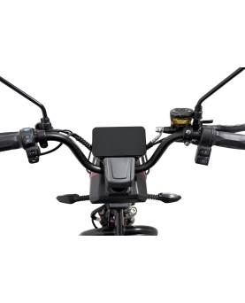 Elektrinis triratis M20, 1000W, Li-ion, EEC