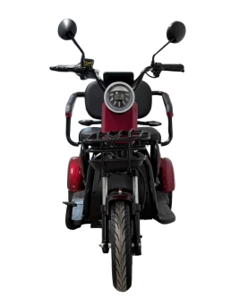 Electric tricycle M20, 800W, Li-ion, EEC