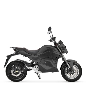 Electric moped CP-8, 2000W, Li-ion, EEC