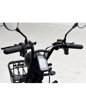 Electric tricycle A6, 800W, AC, EEC