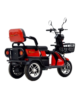 Electric tricycle A6, 800W, AC, EEC