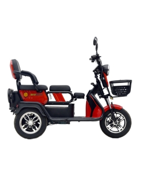 Electric tricycle A6, 800W, Li-ion, EEC