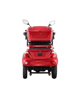 Electric Tricycle Vista-1, 1000W, AC, EEC