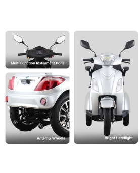 Electric Tricycle Vista-1, 1000W, Li-ion, EEC