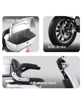 Electric Tricycle Vista-1, 1000W, Li-ion, EEC