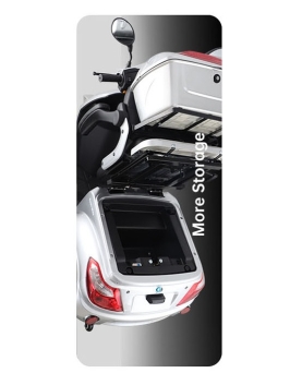 Electric Tricycle Vista-1, 1000W, Li-ion, EEC