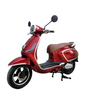 Ekomoto SWAG electric...